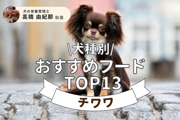 【獣医監修】チワワにおすすめドッグフード人気ランキング13選